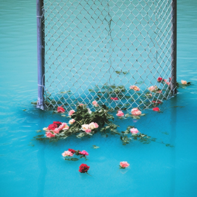 Avatar for 二维草莓县民