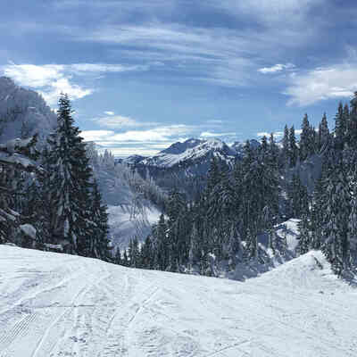 Avatar for cremevax👩🏻‍💻🏳️‍🌈​🇨🇦🇺🇦