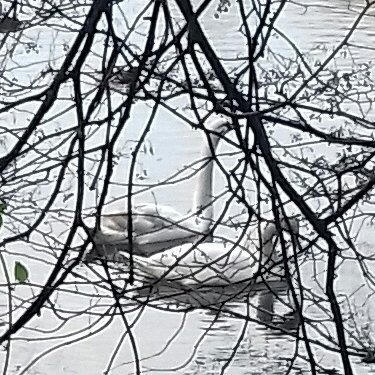 Avatar for Girl about village