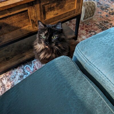 Avatar for stephen m 🍞🌹🇵🇸