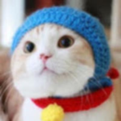 Avatar for Nyan Max
