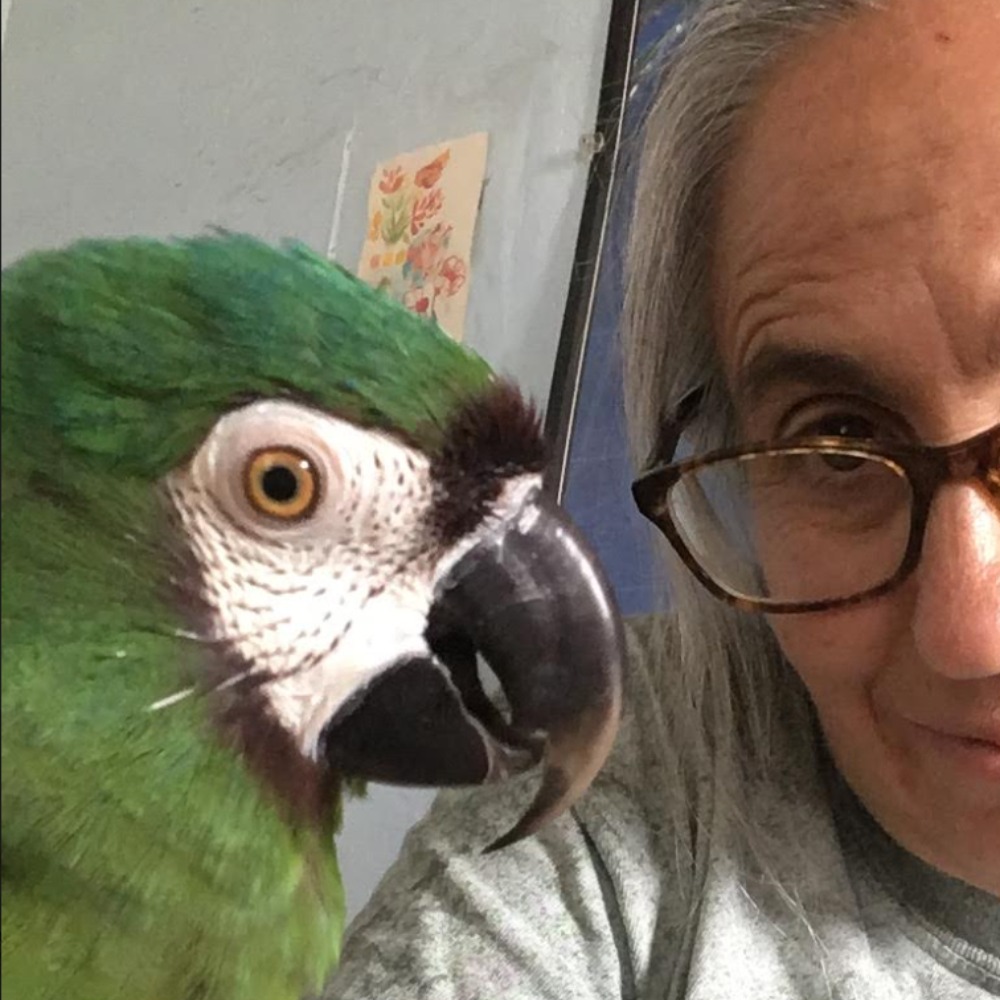 Avatar for Golda Velez