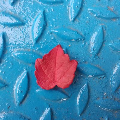 Avatar for GeorgiaSoupault