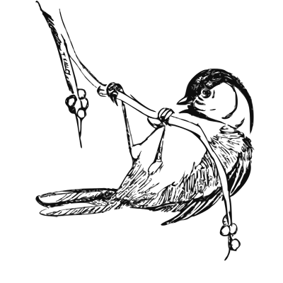 Avatar for Robin Wren