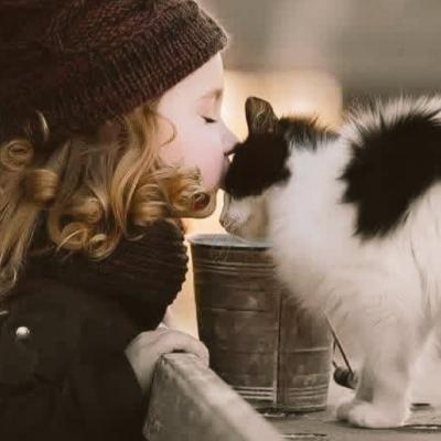 Avatar for Ansam🇵🇸🍉