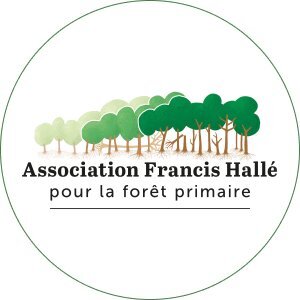Avatar for Asso_FHalle_ foret_primaire
