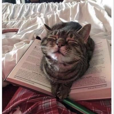 Avatar for John Readit