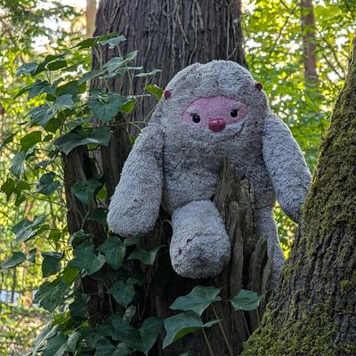 Avatar for ludd in the mist