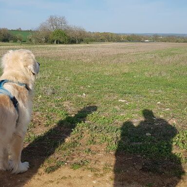 Avatar for Luckyetvous