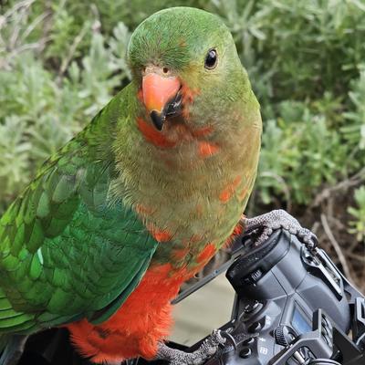 Avatar for Vandacorp