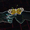 Avatar for Michael Ramsdell