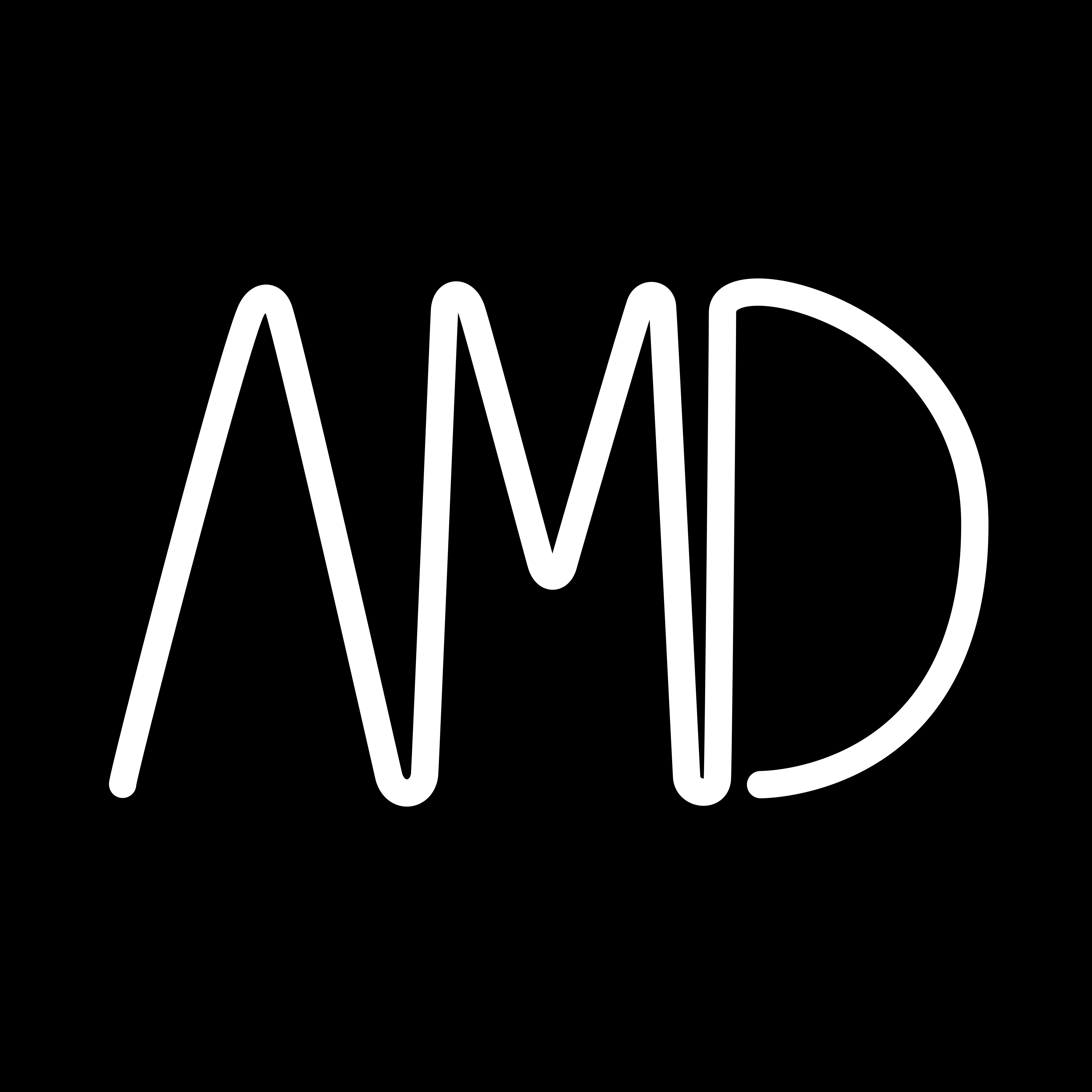Avatar for amd