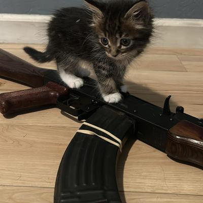 Avatar for antifascistaction