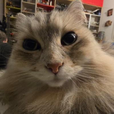 Avatar for FedRych_Photo