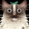 Avatar for qrev
