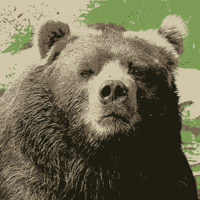 Avatar for Eli the Solitary Lazy Bear