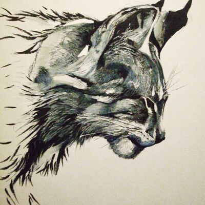 Avatar for Mr Jack