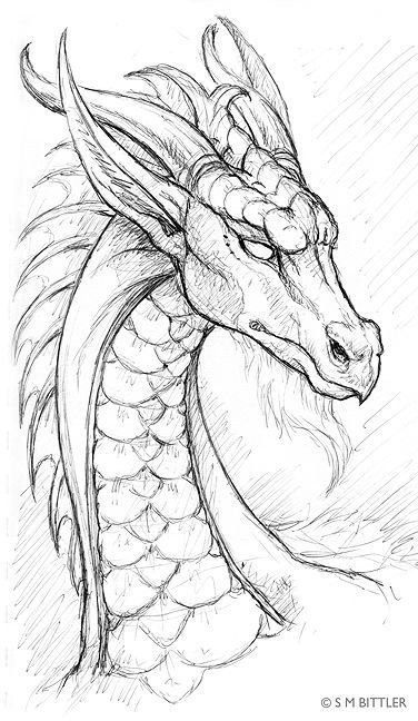 Avatar for Dragon