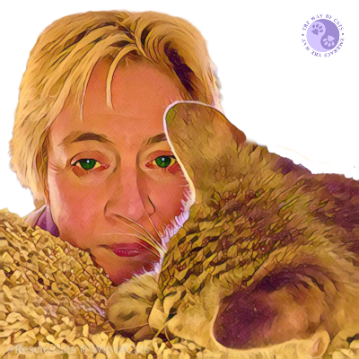 Avatar for WayofCats